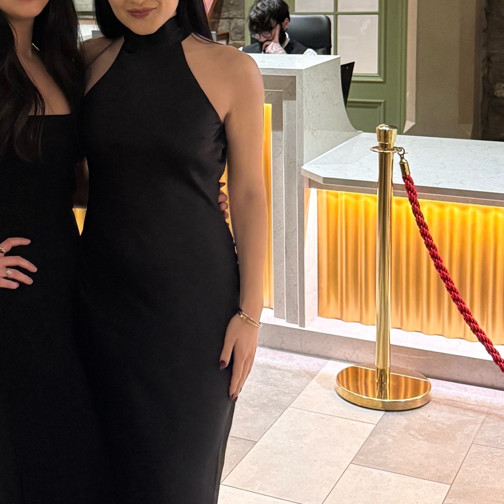 Steve Madden Lara Dress - Picture 3 of 3